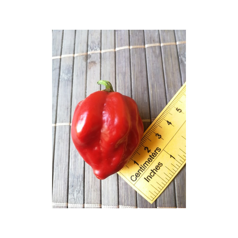 habanero red hat