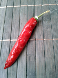plod chilli papriky Cayenne Pepper Red: 17-CA2-2#1