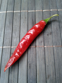 fruit of chilli pepper Cayenne Pepper Red: 17-CA2-2#2