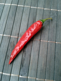 plod chilli papriky Cayenne Pepper Red: 17-CA2-2#3