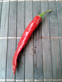 fruit of chilli pepper Cayenne Pepper Red: 17-CA2-2#4