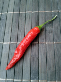 fruit of chilli pepper Cayenne Pepper Red: 17-CA2-4#4