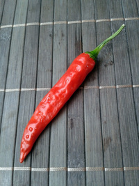 plod chilli papriky Cayenne Pepper Red: 17-CA2-4#5