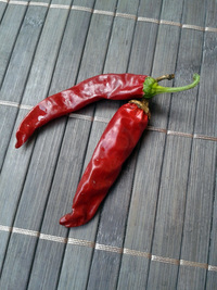 fruit of chilli pepper Cayenne Pepper Red: 17-CA2-6#2