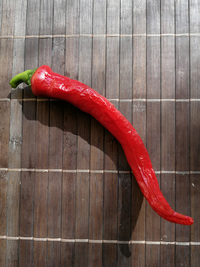 fruit of chilli pepper Cayenne Pepper Thick: 18-CA6-2#1