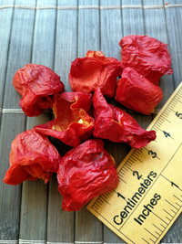 fruit of chilli pepper Bishop´s Crown: 18-CB1-6#1