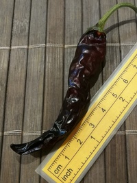 fruit of chilli pepper Cayenne Pepper Purple Long: 20-a4b-11#1