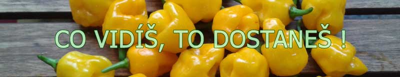 baner semena chilli.top